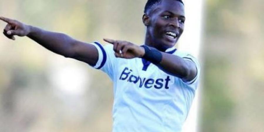 Image result for ماهلامبي