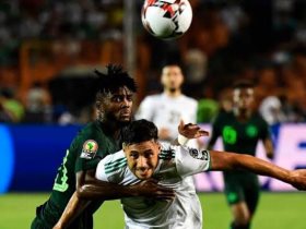 نيجيريا ضد الجزائر
